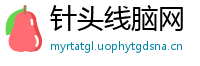 针头线脑网